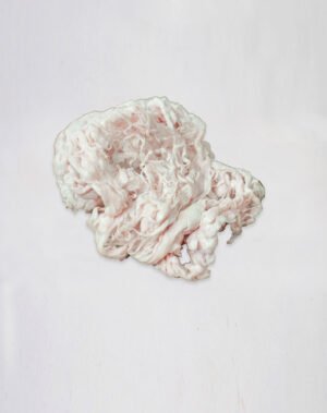 12-PORK-CAUL-FAT Πάννα